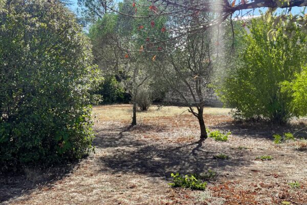 Terrain constructible de 1400 m2 à Uzès