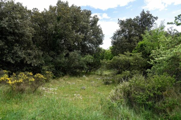 Terrain constructible de 834 m2 au calme à 14 km d’Uzès