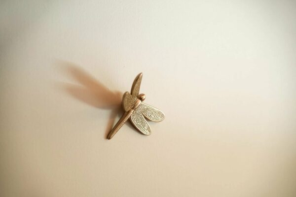 Propriété en pierre au cœur d’un bel environnement naturel