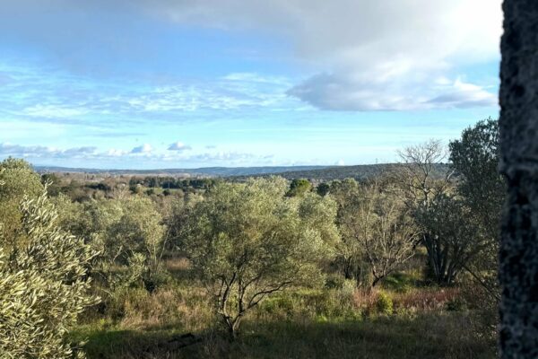 Uzès: 6,050 m2 Building Plot with Olive Trees