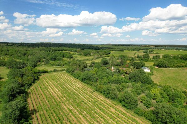 Aux portes d’Uzès, ferme offrant 6ha5